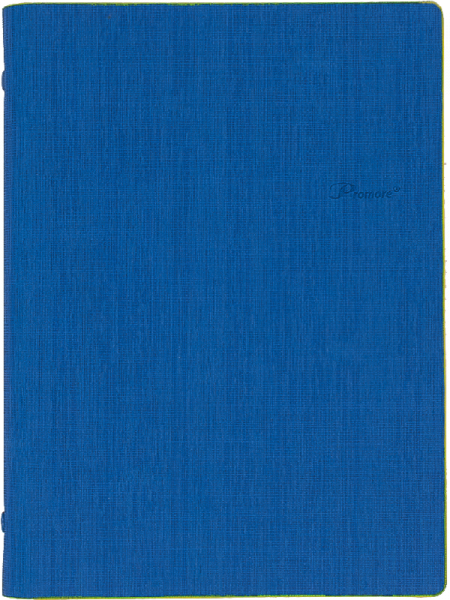 3131-blue